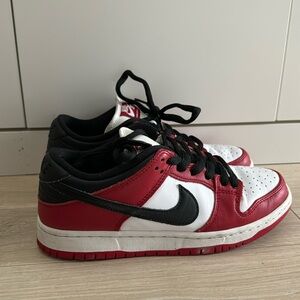 Nike SB low pro J Pack Chicago